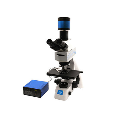 Microscopio biológico de enfoque vertical grueso / micro coaxial B70F