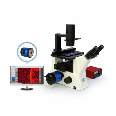 Microscopio biológico invertido B80iF de diseño simplificado para observación de tejidos celulares