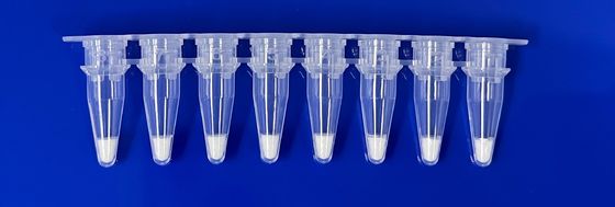 Kit de detección de PCR en tiempo real liofilizado para el ingrediente de cerdo en la muestra de alimentos