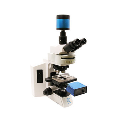 Microscopio biológico fluorescente vertical B60F