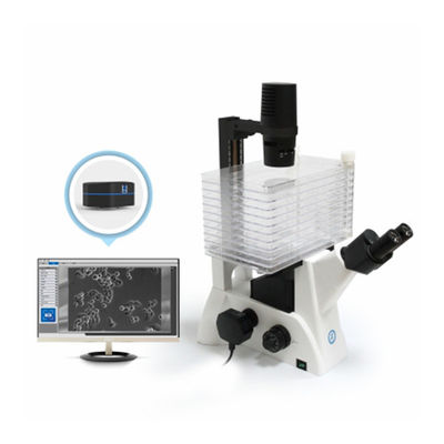 Microscopio biológico invertido B60iL Microscopio especial para la observación de la fábrica de células