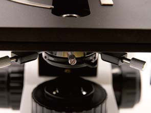 Microscopio biológico vertical B70 con plato giratorio objetivo