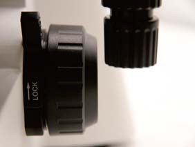 Microscopio biológico vertical B70 con plato giratorio objetivo
