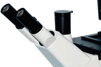 Microscopio biológico invertido con nariz de 5 posiciones B50i