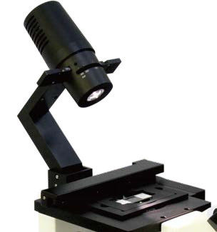 Microscopio biológico invertido B80iF de diseño simplificado para observación de tejidos celulares