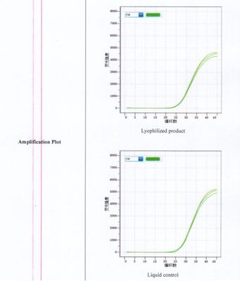 Reactivo de detección PCR en tiempo real liofilizado para la detección de Listeria monocytogenes de alta sensibilidad sin necesidad de cadena de frío