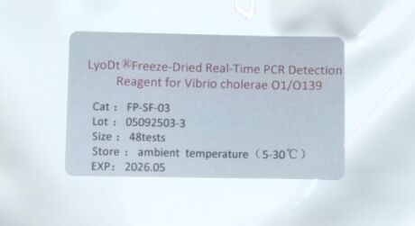 Reactivo de detección por PCR en tiempo real liofilizado LyoDt® para Vibrio cholerae O1/O139 - No requiere cadena de frío y predosificado para una sola prueba